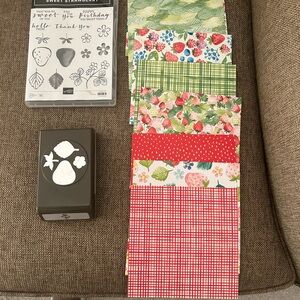Stampin Up Sweet Strawberry Set